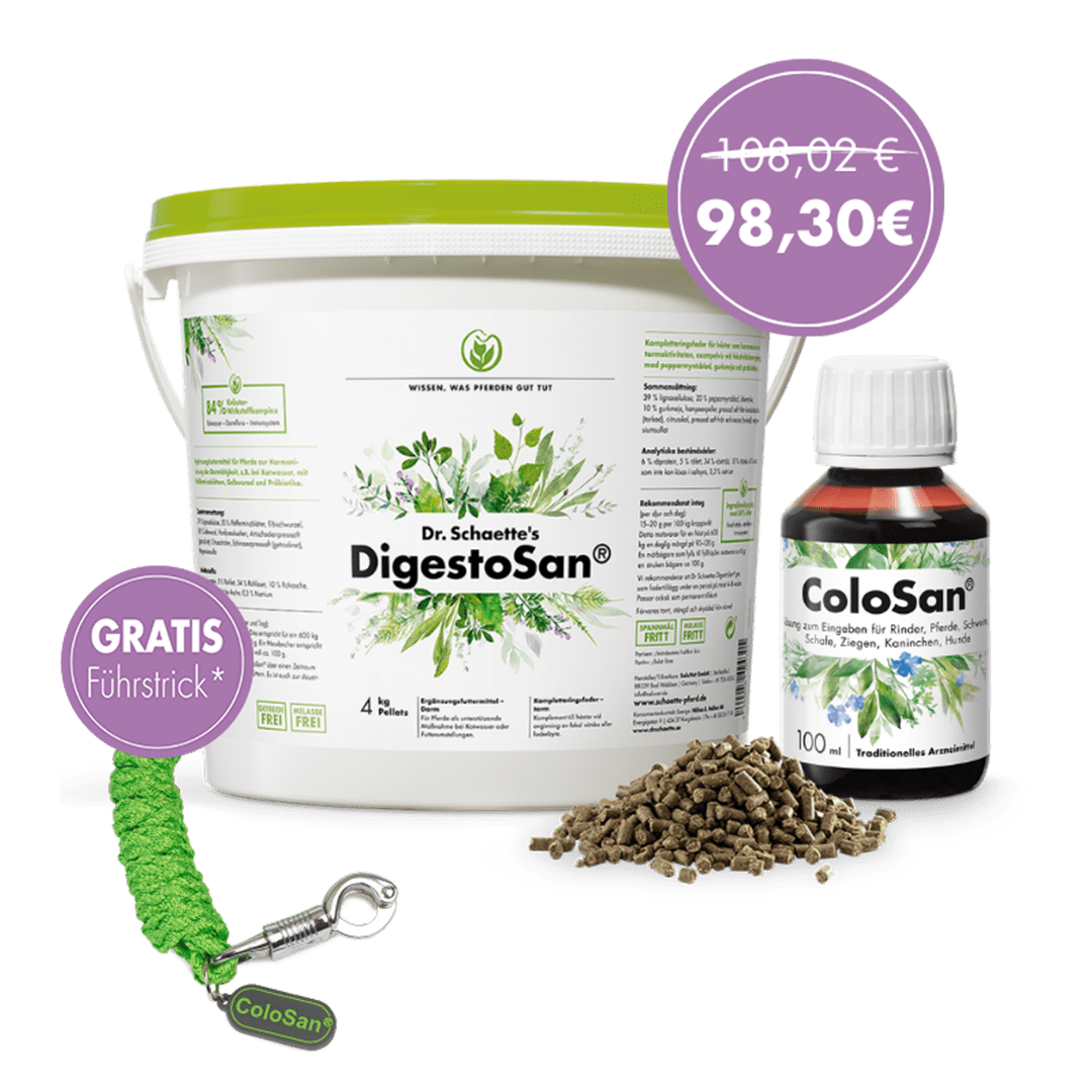 Dr. Schaette’s Darm-Bundle