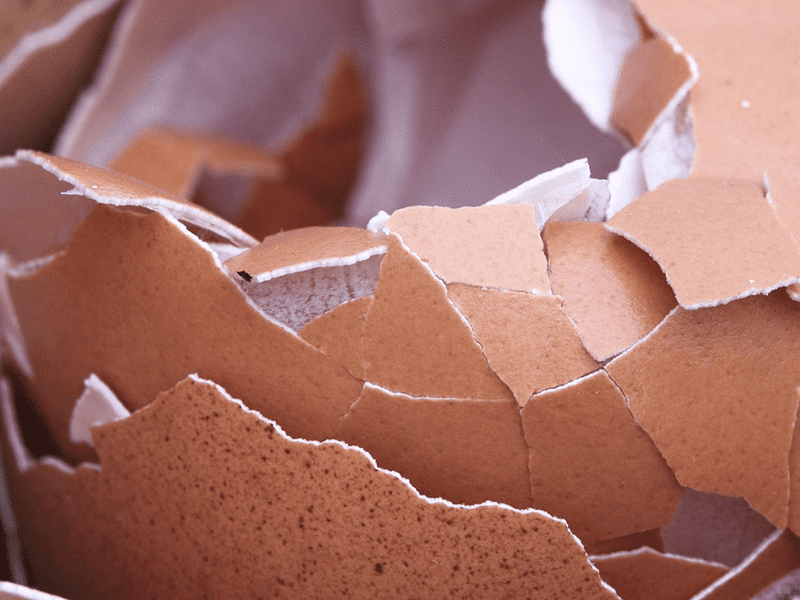 Zerbrochene Eierschale