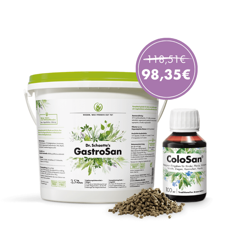 Dr. Schaette's Magen-Bundle