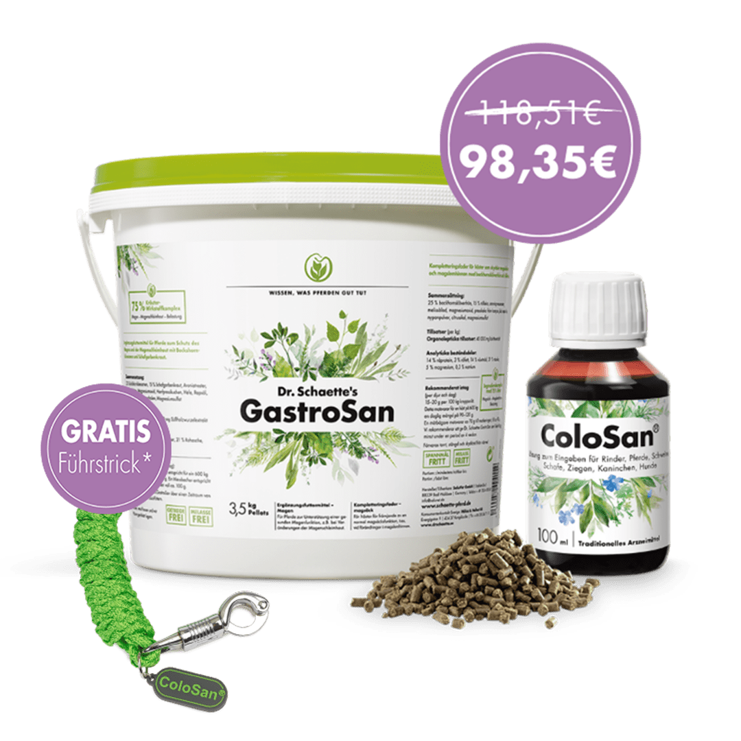 Dr. Schaette's Magen-Bundle